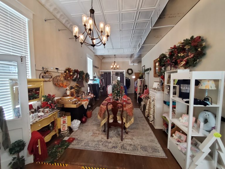 20251119 113817 768x576