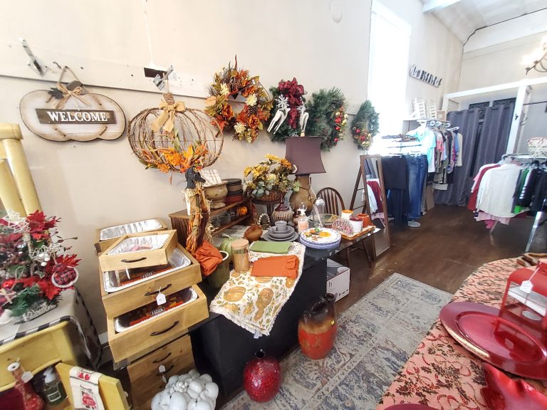 20251119 113831 768x576