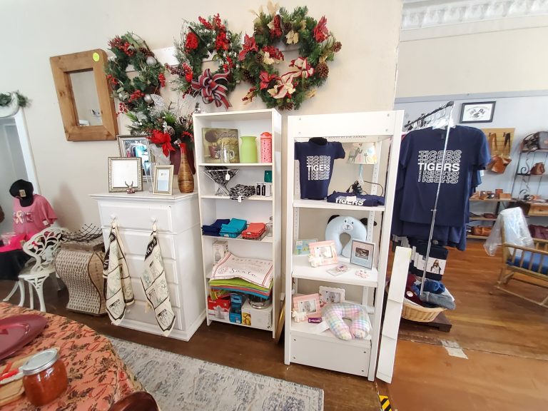 20251119 113844 768x576