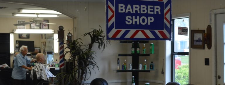 DSC 0031 3 768x292